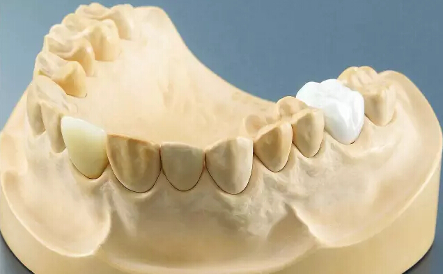 1487560350686873.jpg 208.jpg