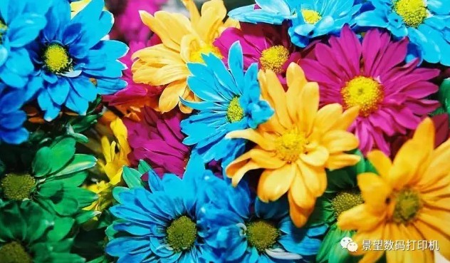 1497601061103900.jpg 03.JPG