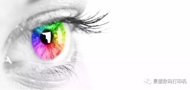 1497601046417752.jpg o2.JPG