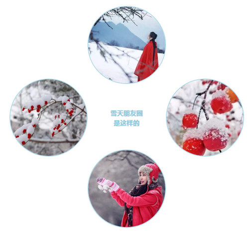 1581326499745783.jpg 2020-02-10_171921.jpg