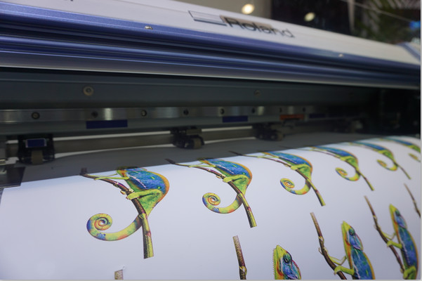 1581498579264731.jpg 2019-07-04_112802.jpg